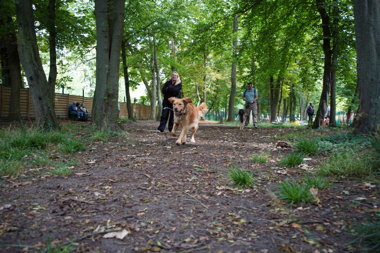 Démonstration lors d'une séance